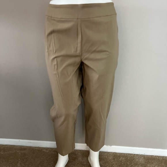 Roz & Ali Classic Fit Ankle Pants - Picture 2 of 12